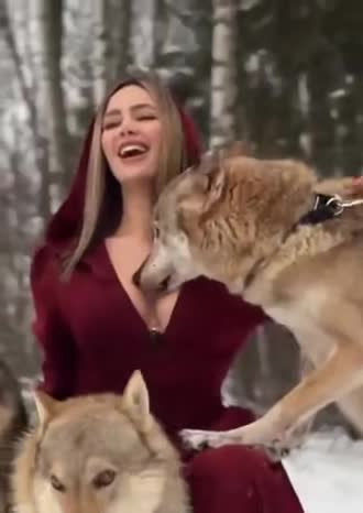 The Wolf has memories