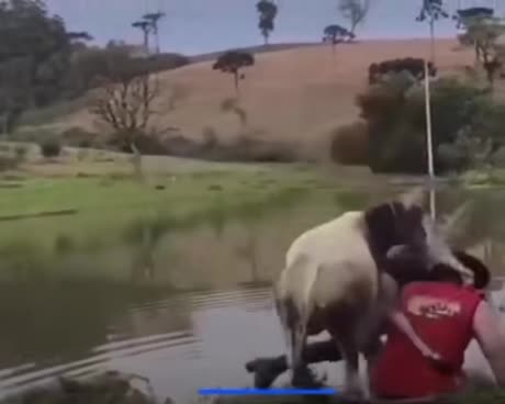 💋This Romantic Moment Took a Hilarious Turn — Wait for It!🐄